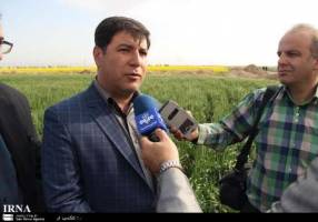 شش هزار و 500 هکتار از زمین های کشاورزی استان تهران به شیوه نوین آبیاری می شود