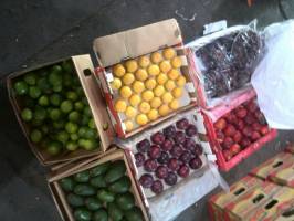 گزارش جدید از قاچاق میوه