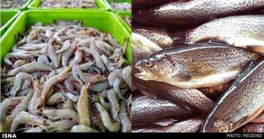 تولید یک میلیون تنی آبزیان قفسی تا ۱۴۰۴