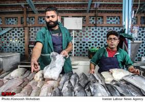 سالمون نروژ37000 تومان