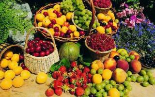 خسارت هنگفت قاچاق میوه طی سال‌های 84 تا 88