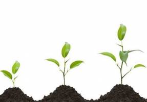 ۲۳ منطقه حفاظت شده در راستای حرکت در مسیر اقتصاد سبز ارزش‌گذاری شد