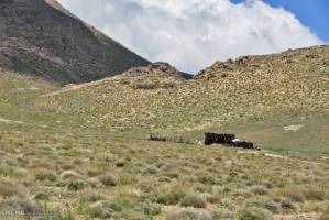 بازپس گیری ۲۱۱ هزار مترمربع از اراضی ملی