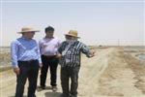 امسال هیچ بیماری در میگوهای پرورشی هرمزگان مشاهده نشده است