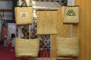 نخستین نمایشگاه سراسری صنایع دستی و گردشگری کشور افتتاح شد