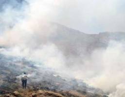 700 هکتار از مراتع کردستان امسال در آتش سوخت