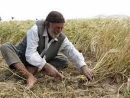 صندوق بیمه اجتماعی کشاورزان راهی برای جلوگیری ازمهاجرت روستائیان