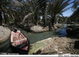 مرگ و میر ده‌ها هزار قطعه ماهی در هورالعظیم در روزهای گذشته