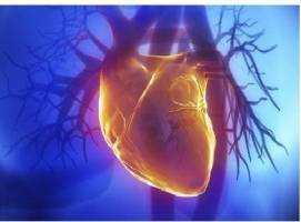 ارتباط بیماری‌های قلب و عروق با ژنتیک
