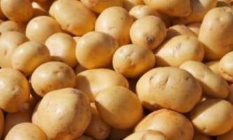 صدور 8هزار تن سیب زمینی از گلستان