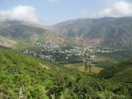 معاون سازمان جنگل ها: راهکار حفظ منابع طبیعی، مشارکت مردم است