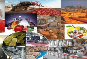 پیش‌بینی رشد ۲۰ درصدی صادرات صنایع غذایی