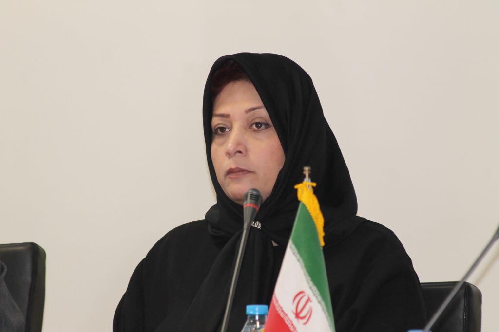 نبود زیر ساخت دلیل بروز مشکل در سامانه جامع گمرکی 