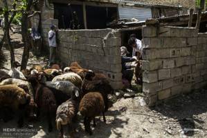 پول کافی نداریم