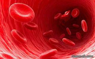 سارقان خون را بشناسید 