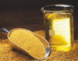 وضعیت واحدهای تولید سنتی روغن کنجد دزفول نگران کننده است