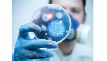 مقابله با عوامل بیماری‌زا با ترکیب جدید ضدباکتری محققان ایرانی