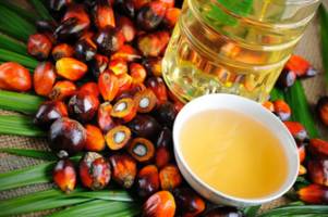 روغن پالم را بهتر بشناسیم