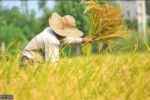 به تایلندی‌ها تعهد داده‌ایم