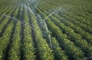 بهره برداری از طرح 500 هکتاری آبیاری تحت فشار روستای خاتونبان لرستان