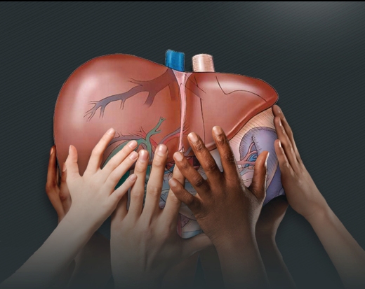  ۵ خوردنی مفید برای کبد