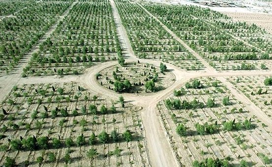 احداث «کمربند سبز» به جای حبس
