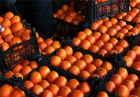 ممنوعیت واردات مرکبات ترکیه به روسیه