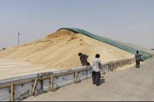 نرخ‌ جدید خرید تضمینی محصولات کشاورزی دو روز آینده اعلام می‌شود