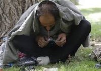 اجرای طرح محله‌‎محور «مبارزه با موادمخدر» در 325 نقطه کشور