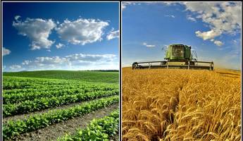 جزئیات تسهیلات ۱.۵ میلیارد دلاری برای توسعه صنایع کشاورزی