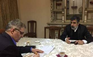  برجام همه موانع همکاری های هسته ای ایران و روسیه را حذف کرد