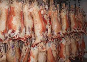 توزیع گوشت گرم دولتی در بازار ادامه دارد