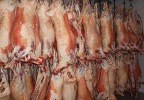 قیمت گوشت گوسفند کاهش می یابد