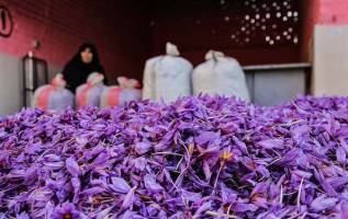راه اندازی بورس زعفران تا پایان دهه فجر