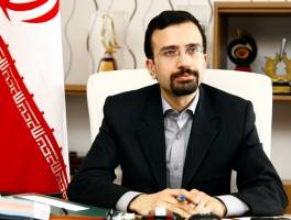 فرش ایرانی بلوکه نشده، مشکل از گمرک است