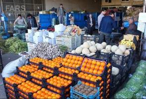 توزیع چراغ خاموش۱۱میوه ممنوعه