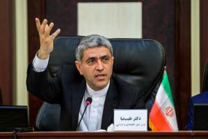 جلب ۱۲ میلیارد دلار سرمایه گذاری خارجی در سال ۹۵