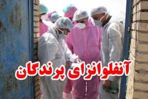  رهایی ایران از چنگال آنفلوانزا