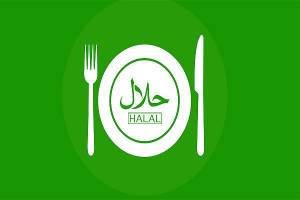  لوگوی مشترک ایران و آفریقای جنوبی برای برند حلال