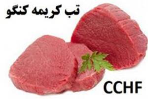  ویروس تب کریمه با ۲۴ ساعت انجماد از بین می‌رود