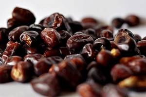 واردات خرما از رژیم اشغال‌گر قدس را تکذیب می‌کنیم