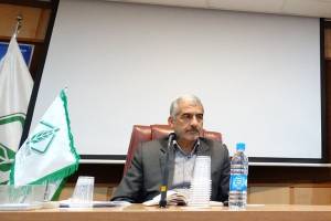 هدفگذاری تولید بیش از ۱۳ میلیون تن گندم در برنامه ششم