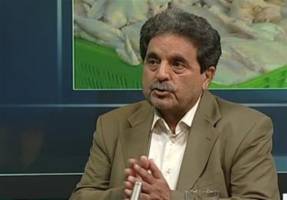 جوجه یکروزه ۱۲۰۰ تومان ارزان شد