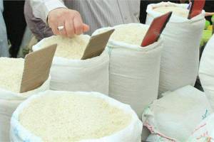  تعلیق پروانه واردات برنج تایلندی