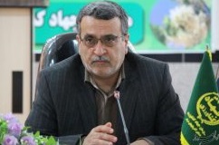 آلودگی ۶۰ درصدی «بن‌سای» و «لاکی‌بامبو»های چینی و تایلندی