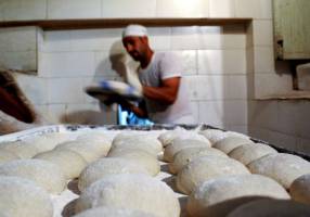 آرد نانوایی‌ها با گندم دامی و گندم انسانی مخلوط است!