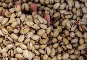 دعوا بر سر صادرات پسته بالا گرفت!