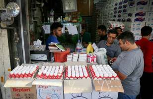 واردات ۲۰ هزار تن تخم مرغ برای تنظیم بازار