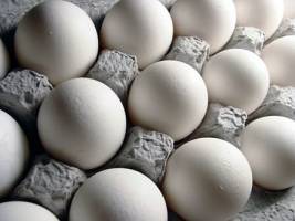 واردات ۱۱۶ تن تخم‌مرغ در یک هفته گذشته