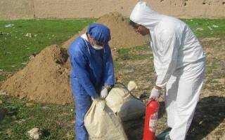 پرداخت ١٣٠ میلیاردتومان خسارت به مرغداران بزودی